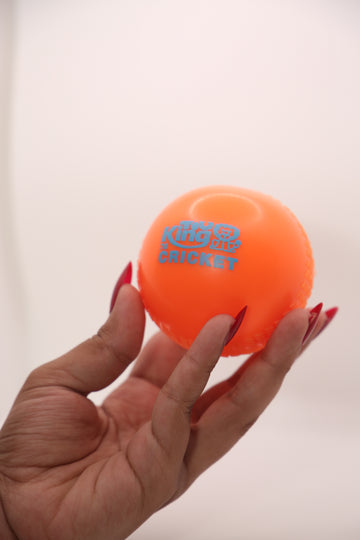 King Cricket Orange Soft Practice Ball – Training Cricket Ball for Kids & Beginners
